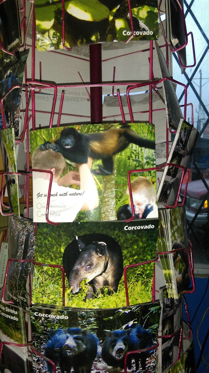 113 Of The Funniest Parents Ever