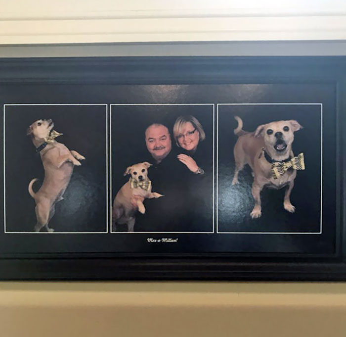 113 Of The Funniest Parents Ever