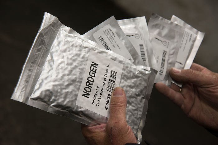 If The Apocalypse Comes This Vault Could Restart Life On Earth If The Apocalypse Comes This Vault Could Restart Life On Earth