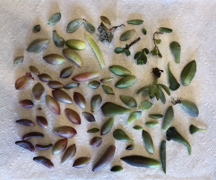 49 Hilarious Times People Beat The System In Ways Nobody Expected