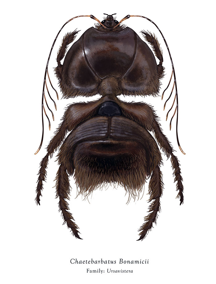Artist Mutates Insects To Resemble Star Wars Characters – How Many Do You Recognize?