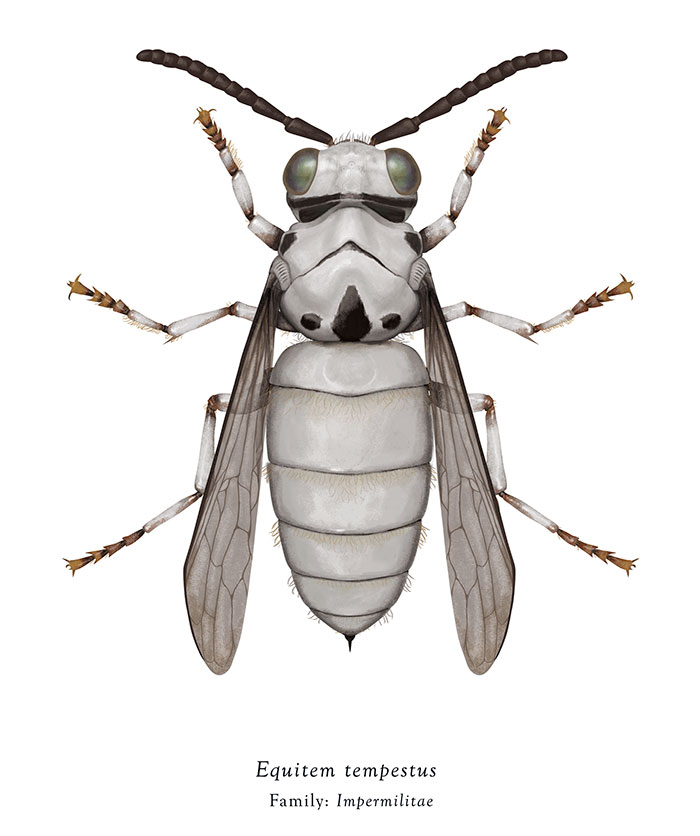 Artist Mutates Insects To Resemble Star Wars Characters – How Many Do You Recognize?