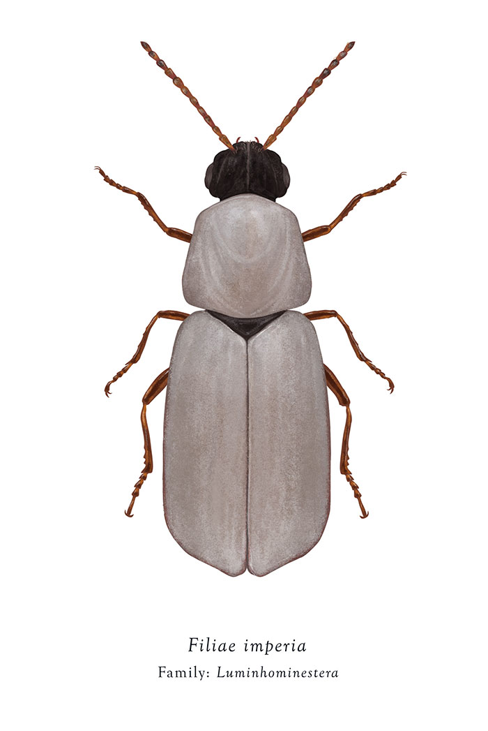 Artist Mutates Insects To Resemble Star Wars Characters – How Many Do You Recognize?