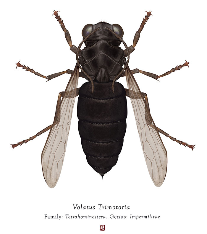 Artist Mutates Insects To Resemble Star Wars Characters – How Many Do You Recognize?