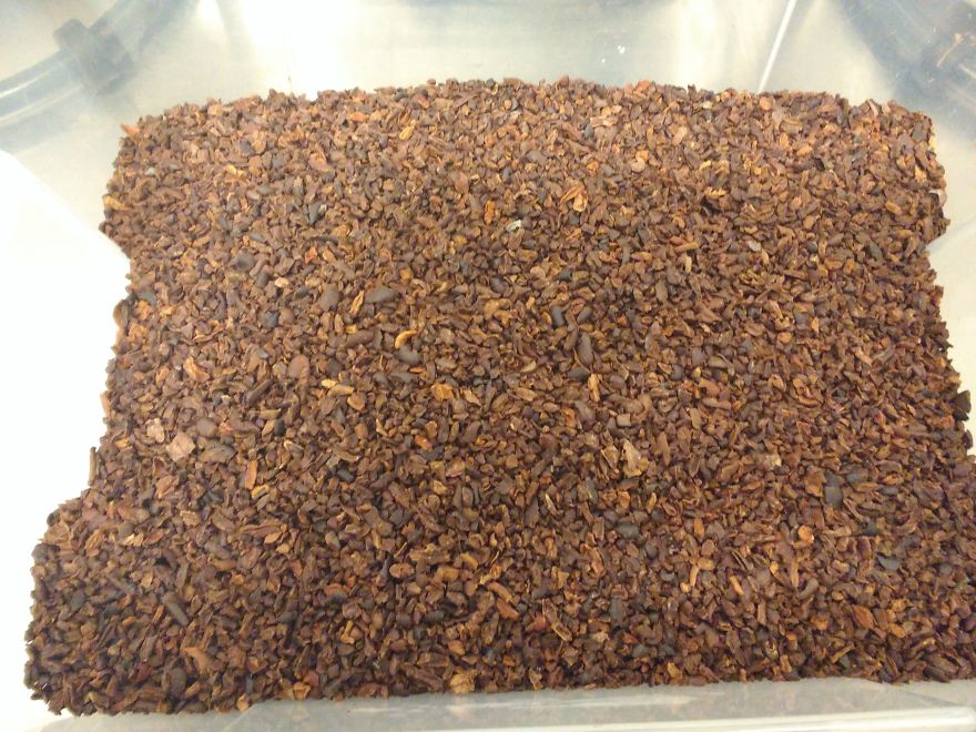 I’m A Chocolate Maker, And Here’s How The Chocolate is Made From Bean To Bar I’m A Chocolate Maker, And Here’s How The Chocolate is Made From Bean To Bar