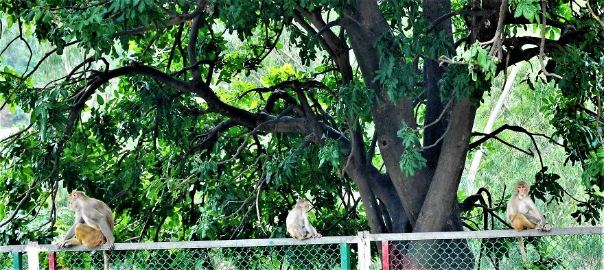 I Photographed Jammu City Of India