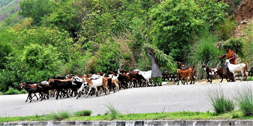 I Photographed Jammu City Of India