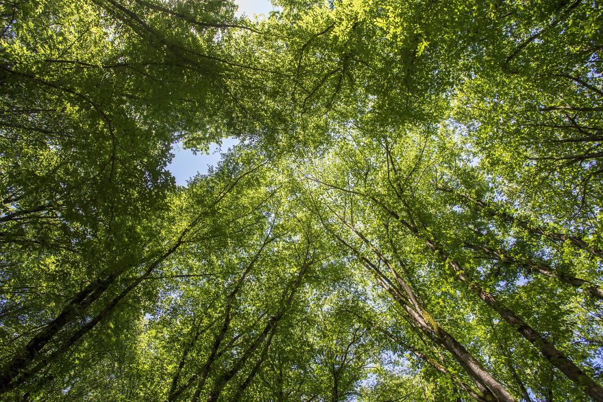 When You Find Yourself In The Forest At The Right Time… When You Find Yourself In The Forest At The Right Time…