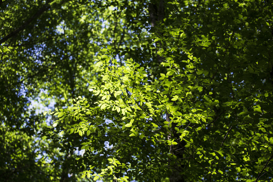 When You Find Yourself In The Forest At The Right Time… When You Find Yourself In The Forest At The Right Time…