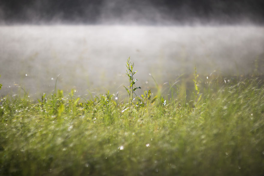 When You Find Yourself In The Forest At The Right Time… When You Find Yourself In The Forest At The Right Time…