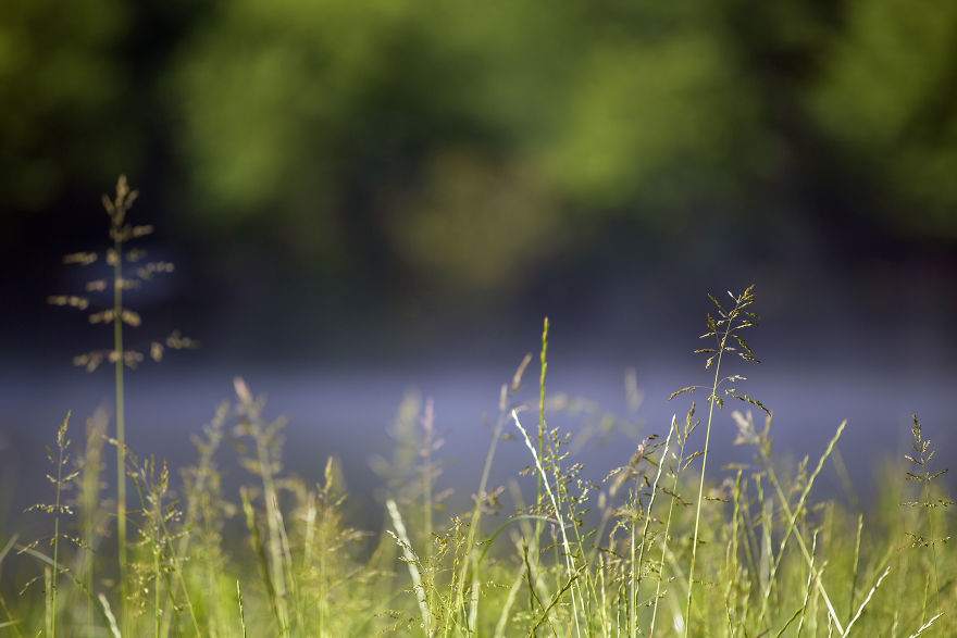 When You Find Yourself In The Forest At The Right Time… When You Find Yourself In The Forest At The Right Time…