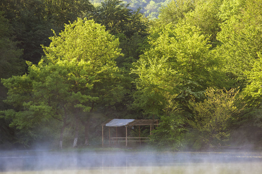 When You Find Yourself In The Forest At The Right Time… When You Find Yourself In The Forest At The Right Time…