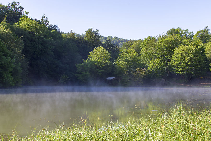 When You Find Yourself In The Forest At The Right Time… When You Find Yourself In The Forest At The Right Time…
