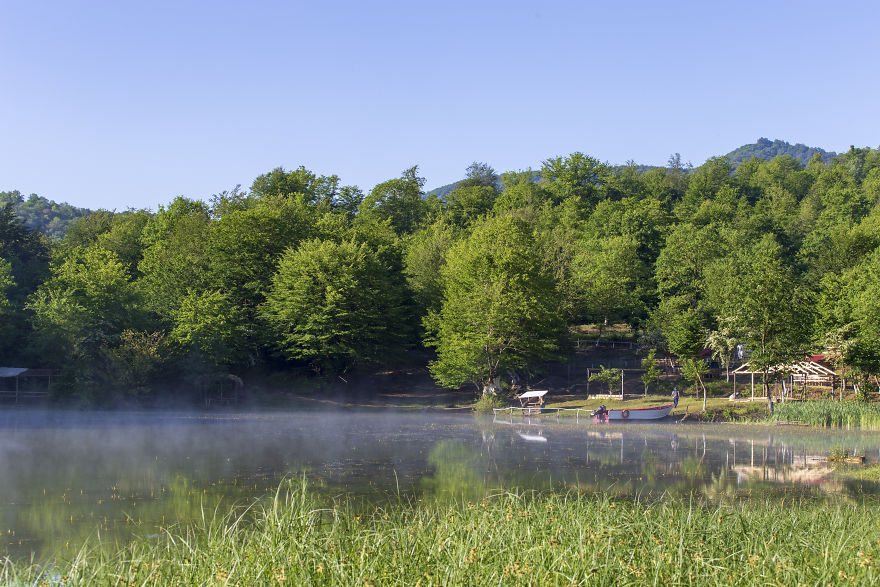 When You Find Yourself In The Forest At The Right Time… When You Find Yourself In The Forest At The Right Time…