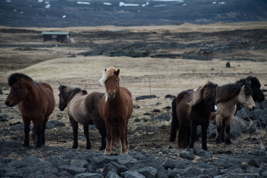 I Went To Iceland Alone And Here Is What I Photographed I Went To Iceland Alone And Here Is What I Photographed