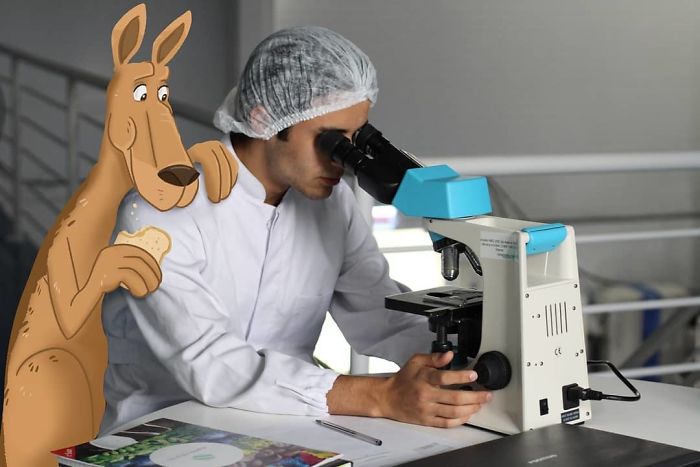 I Work In Marketing And I See A Lot Of Bad Stock Photos, So I Decided To Have Some Fun With Them (32 Pics) I Work In Marketing And I See A Lot Of Bad Stock Photos, So I Decided To Have Some Fun With Them (32 Pics)