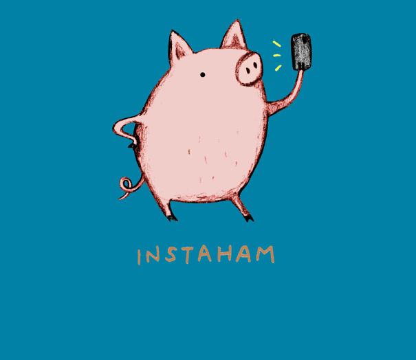 Cute Little Kawaii Animals