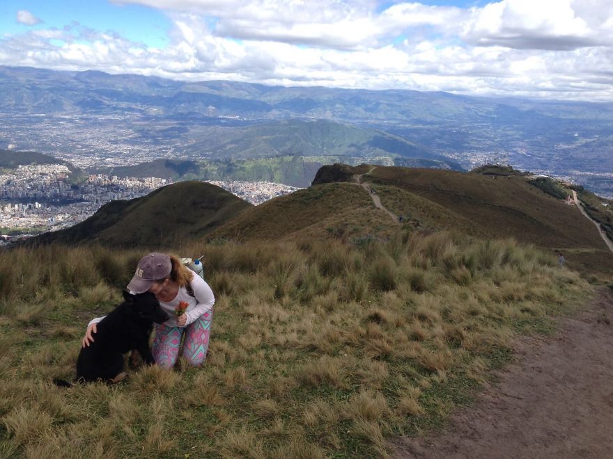 Former Stray Animals In Ecuador Are Moving To Europe Former Stray Animals In Ecuador Are Moving To Europe