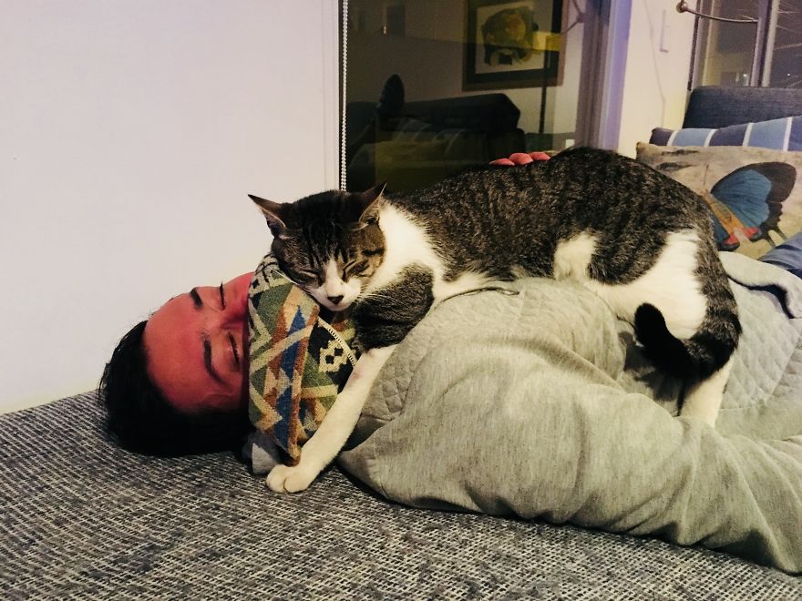 Former Stray Animals In Ecuador Are Moving To Europe Former Stray Animals In Ecuador Are Moving To Europe