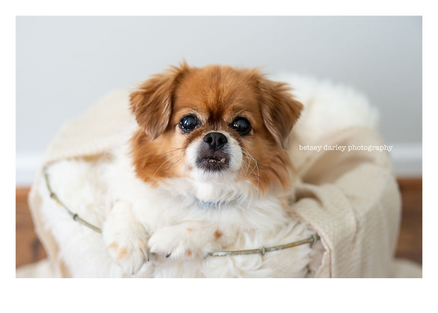 Did I Discover A New Era Of Photography Even Cuter Than Newborns?