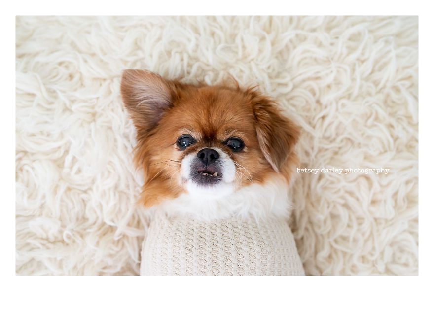 Did I Discover A New Era Of Photography Even Cuter Than Newborns?