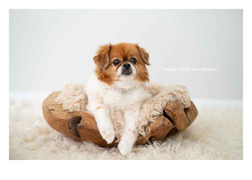 Did I Discover A New Era Of Photography Even Cuter Than Newborns?