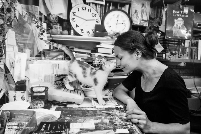 I Spent Years Trying To Photograph Moments Of &#8220;Catisfaction&#8221;