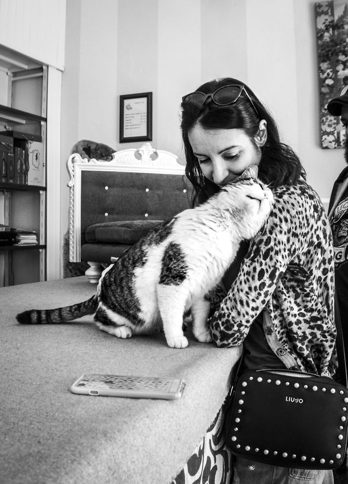 I Spent Years Trying To Photograph Moments Of &#8220;Catisfaction&#8221;