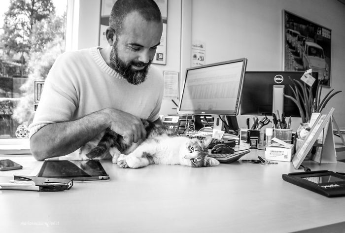 I Spent Years Trying To Photograph Moments Of &#8220;Catisfaction&#8221;