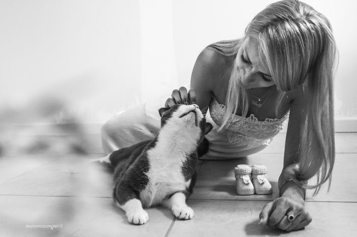 I Spent Years Trying To Photograph Moments Of &#8220;Catisfaction&#8221;