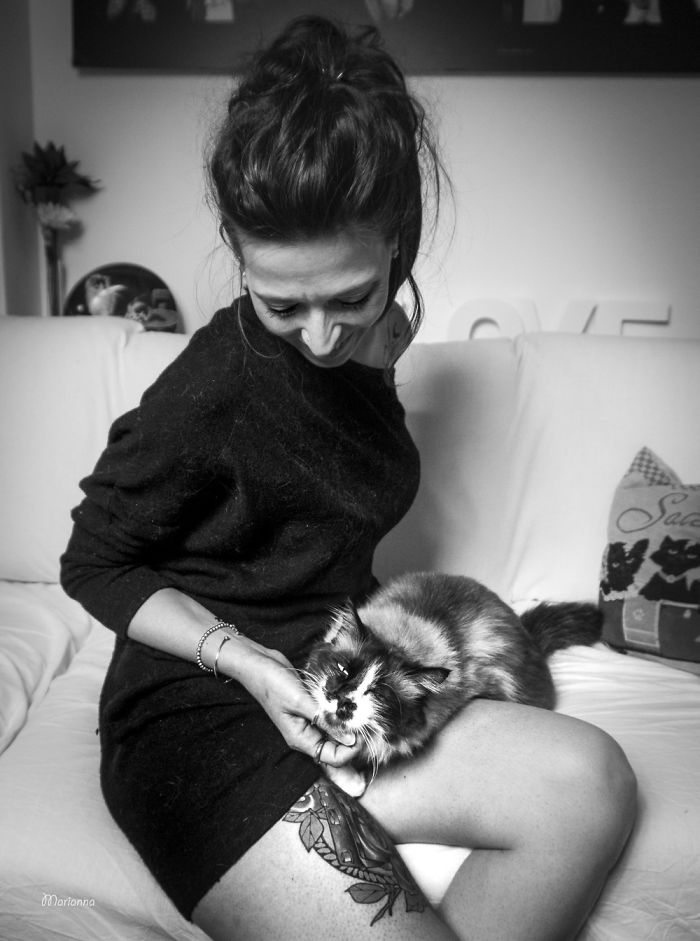 I Spent Years Trying To Photograph Moments Of &#8220;Catisfaction&#8221;