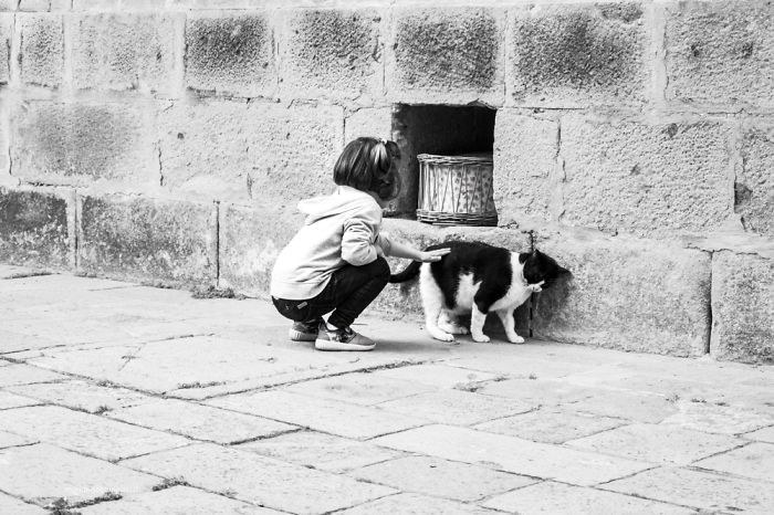 I Spent Years Trying To Photograph Moments Of &#8220;Catisfaction&#8221;