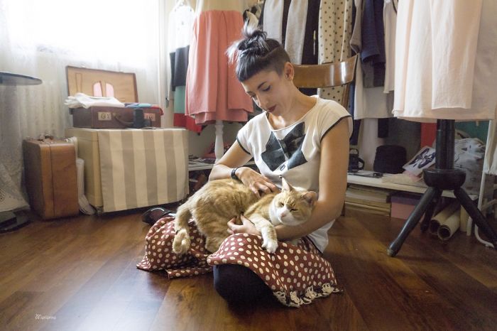 I Spent Years Trying To Photograph Moments Of &#8220;Catisfaction&#8221;