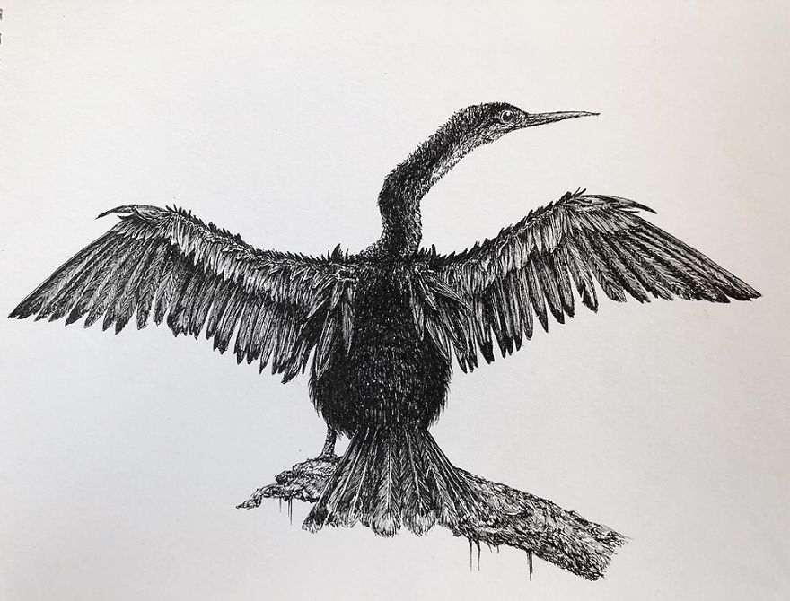 Birds By Bas Geeraets