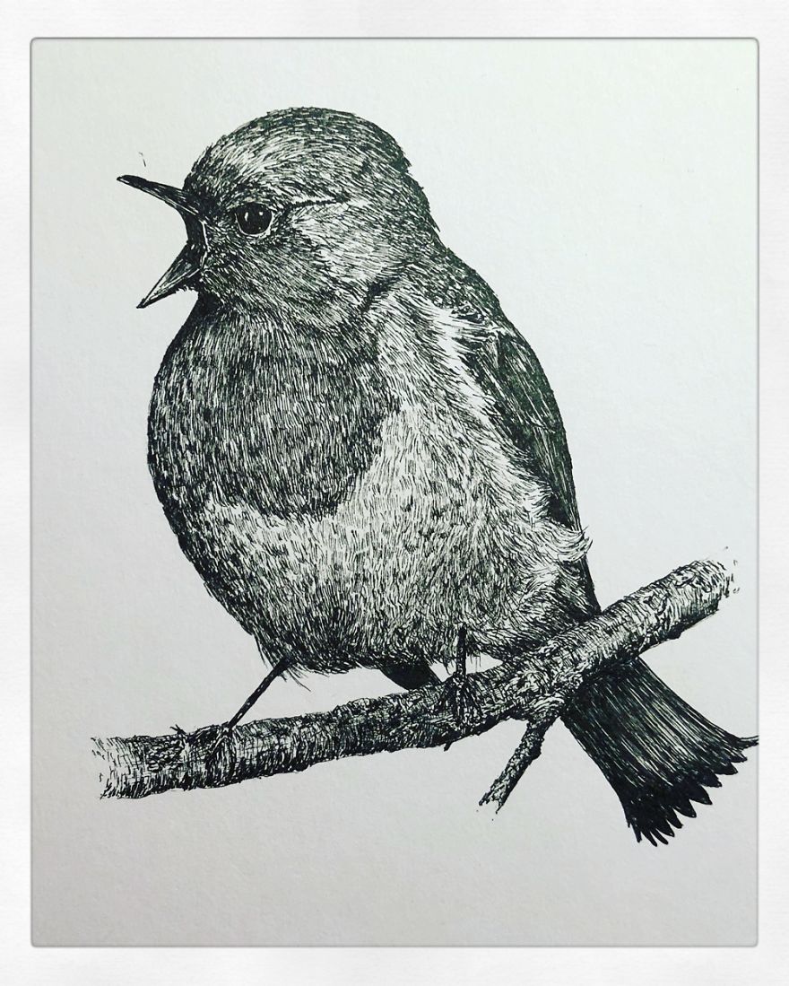 Birds By Bas Geeraets