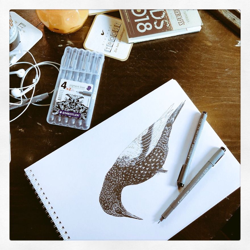 Birds By Bas Geeraets