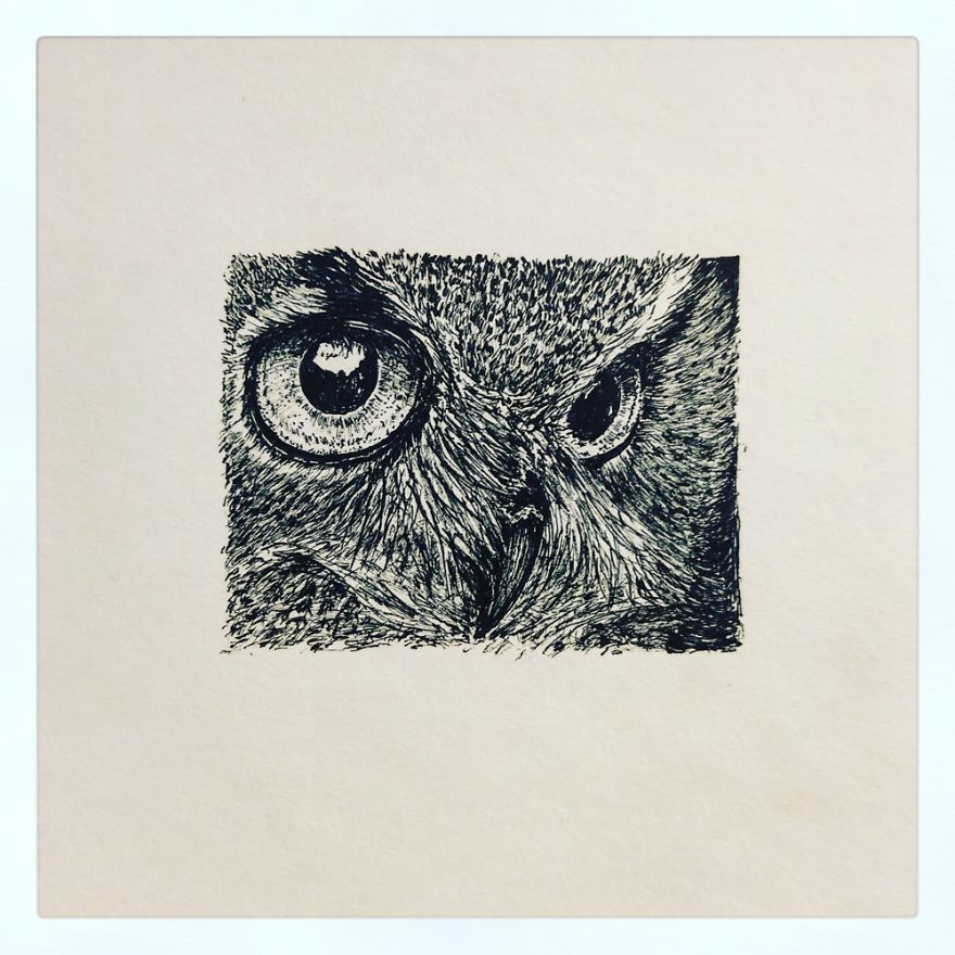 Birds By Bas Geeraets