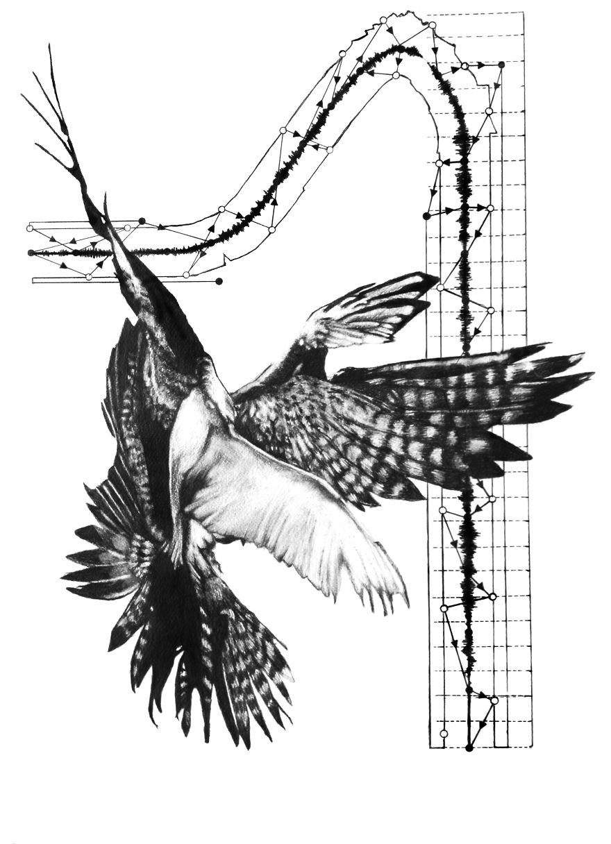 14 Collage- Pencil -Drawings Inspired By Greek Mythology 14 Collage- Pencil -Drawings Inspired By Greek Mythology