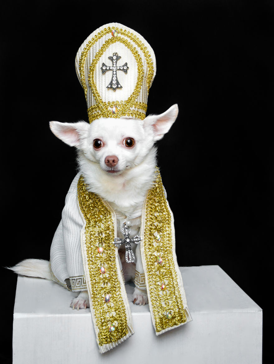 Dogs Wearing Outfits Inspired By Met Gala Heavenly Bodies Exhibit