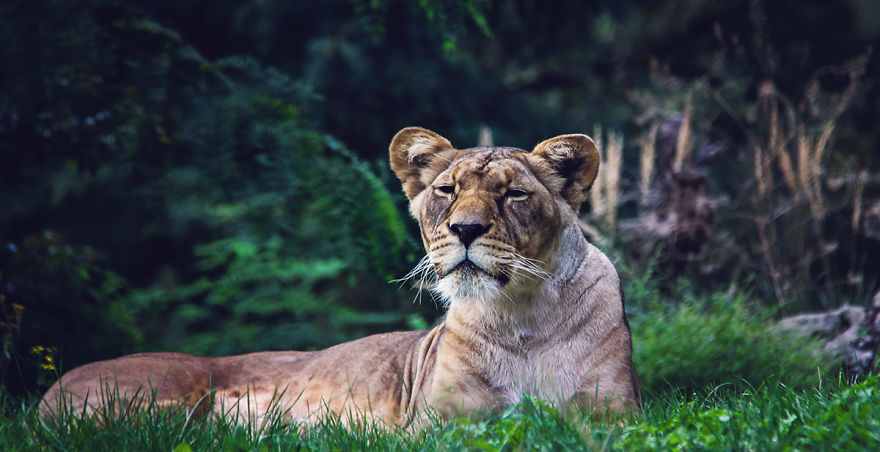 The Photography Session That Would Show You Why You Shouldn’t Go To The Zoo Anymore The Photography Session That Would Show You Why You Shouldn’t Go To The Zoo Anymore