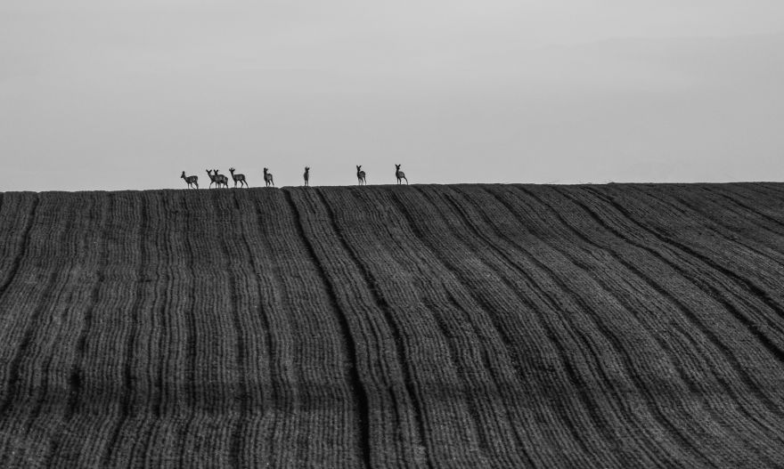 I Love To Runaway With My Camera I Love To Runaway With My Camera