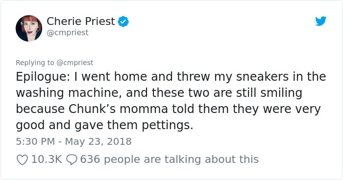 Woman Shares Her Epic Dog Saga On Twitter, And It Will Bring You Tears Of Laughter Woman Shares Her Epic Dog Saga On Twitter, And It Will Bring You Tears Of Laughter