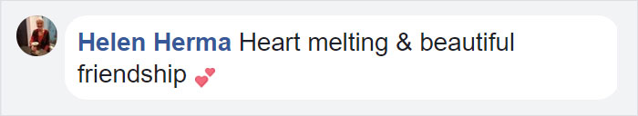 Orphan Kitten Meets Dog Who Lost Her Entire Litter, Becomes The Pup She Never Had Orphan Kitten Meets Dog Who Lost Her Entire Litter, Becomes The Pup She Never Had