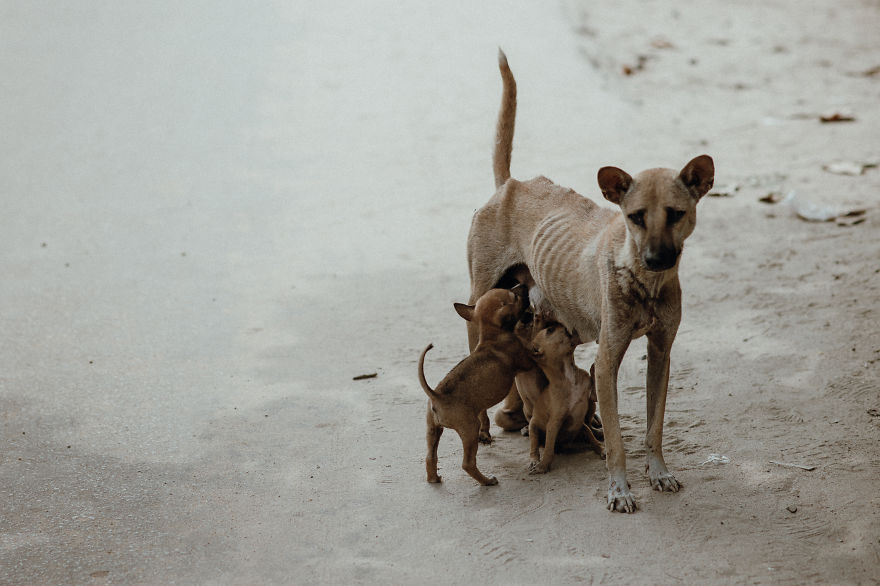I Travelled Around Myanmar And Captured How People Lives There