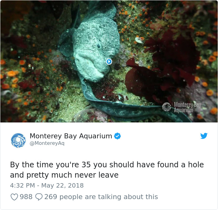 People Are Sharing What Everyone Should Accomplish By Age 35, And It’s Too Funny To Read People Are Sharing What Everyone Should Accomplish By Age 35, And It’s Too Funny To Read