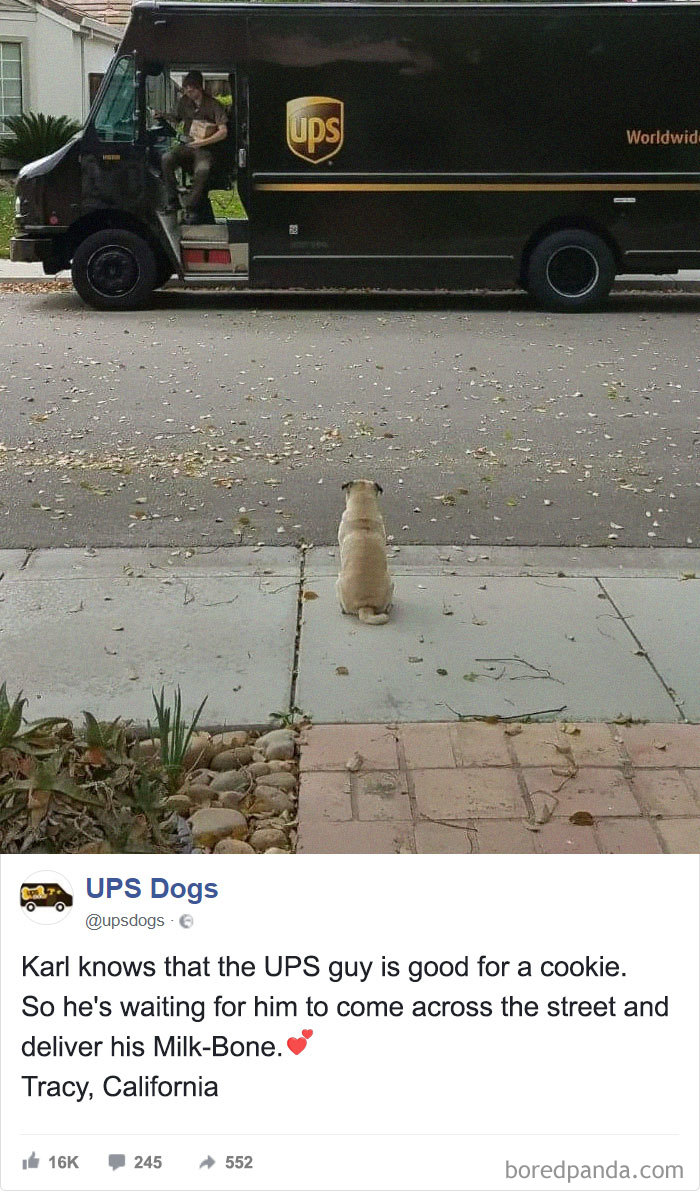 UPS Drivers Capture The Most Interesting Photos On Their Routes, And We Can’t Get Enough UPS Drivers Capture The Most Interesting Photos On Their Routes, And We Can’t Get Enough
