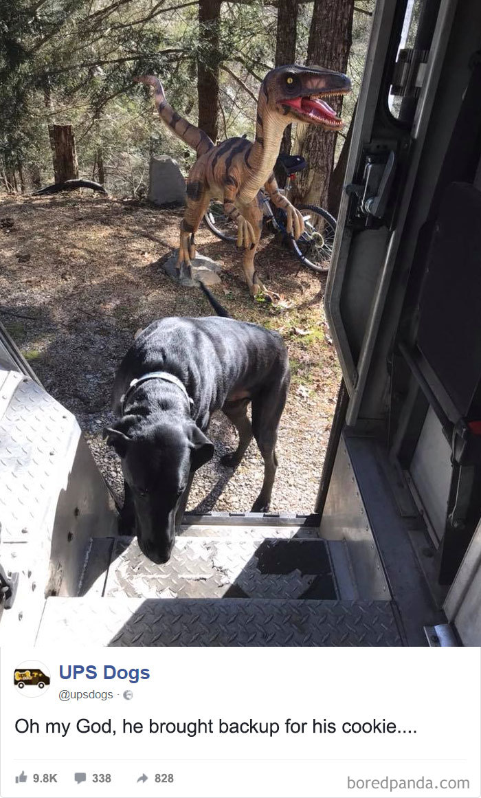UPS Drivers Capture The Most Interesting Photos On Their Routes, And We Can’t Get Enough UPS Drivers Capture The Most Interesting Photos On Their Routes, And We Can’t Get Enough