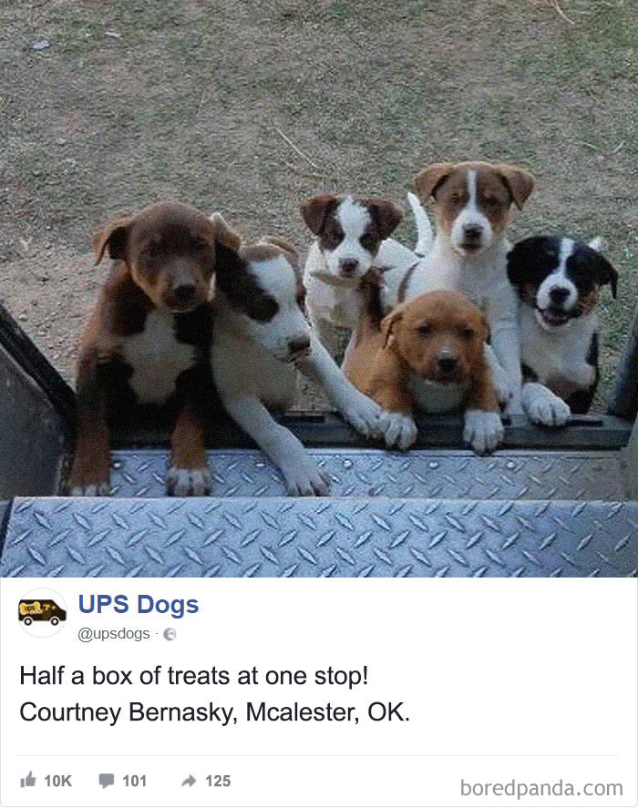 UPS Drivers Capture The Most Interesting Photos On Their Routes, And We Can’t Get Enough UPS Drivers Capture The Most Interesting Photos On Their Routes, And We Can’t Get Enough
