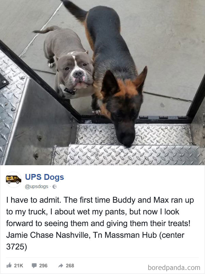 UPS Drivers Capture The Most Interesting Photos On Their Routes, And We Can’t Get Enough UPS Drivers Capture The Most Interesting Photos On Their Routes, And We Can’t Get Enough