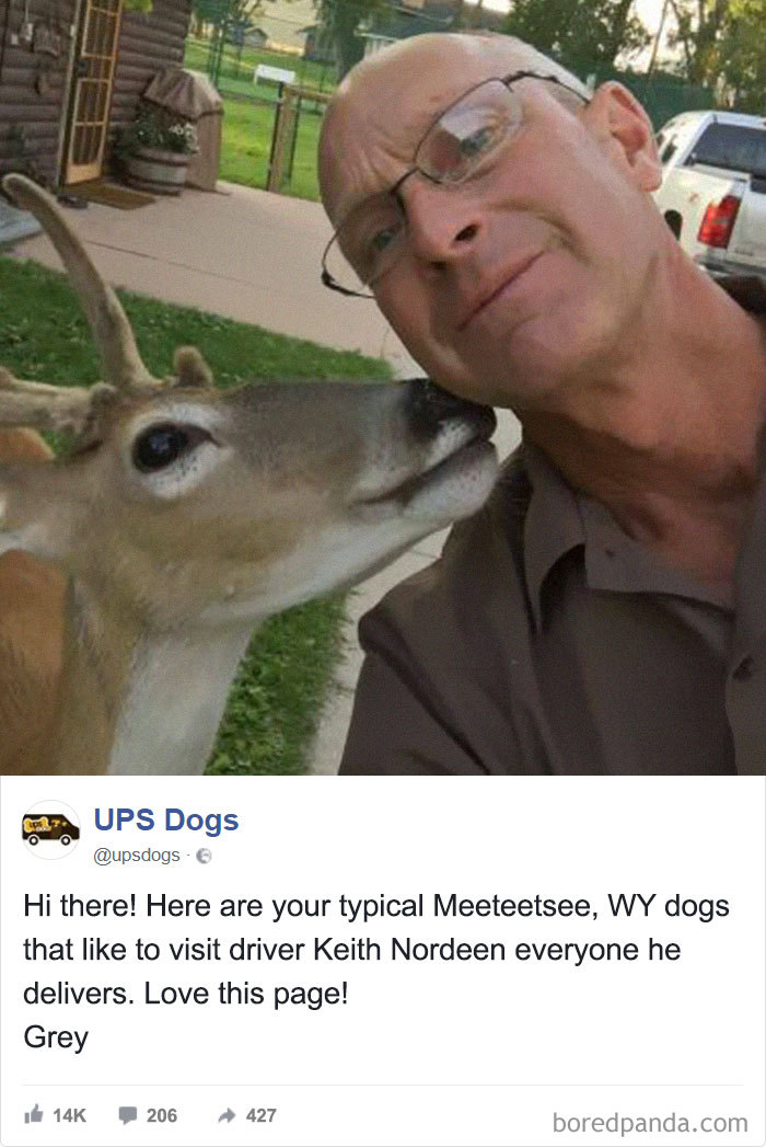 UPS Drivers Capture The Most Interesting Photos On Their Routes, And We Can’t Get Enough UPS Drivers Capture The Most Interesting Photos On Their Routes, And We Can’t Get Enough